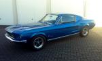 Ford Mustang - kein Pony auf der Weide